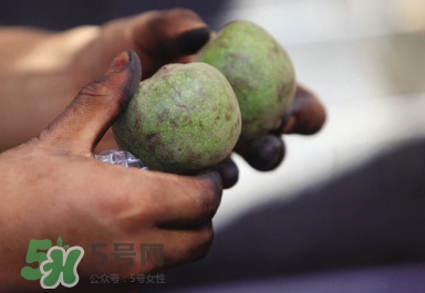 青皮核桃哪里有賣(mài)？哪里可以買(mǎi)到青皮核桃