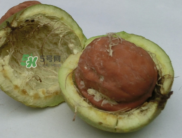 青皮核桃是怎么變成干核桃的？吃核桃為什么有酒味