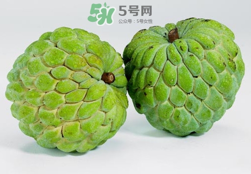 刺果番荔枝怎么吃？釋迦和刺果番荔枝區(qū)別