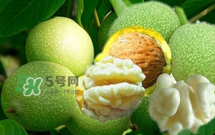 青皮核桃?guī)捉锍鲆唤锔珊颂?？青皮核桃什么時(shí)候成熟