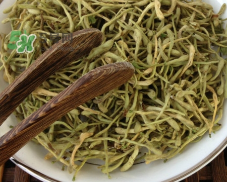 金銀花茶苦嗎？喝金銀花茶需要注意什么