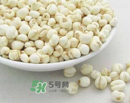 川貝母是川貝嗎？川貝母是酸性還是堿性？