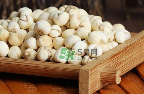 川貝母可以直接吃嗎？川貝母可以泡水喝嗎