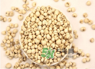 川貝母是苦的嗎？川貝母是涼性的嗎