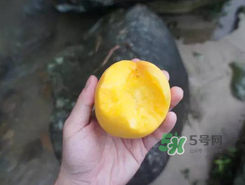 炎陵黃桃什么時(shí)候成熟？炎陵黃桃好吃嗎？