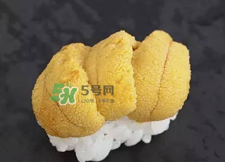 海膽怎么處理？海膽可以生吃嗎？