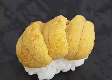 活海膽怎么殺？海膽怎么開殼？