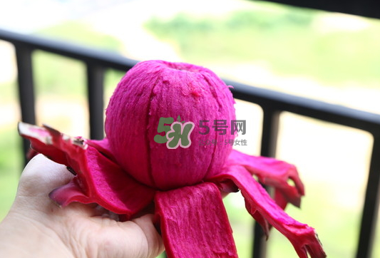 紅心火龍果能天天吃嗎？每天吃一個紅心火龍果好嗎？