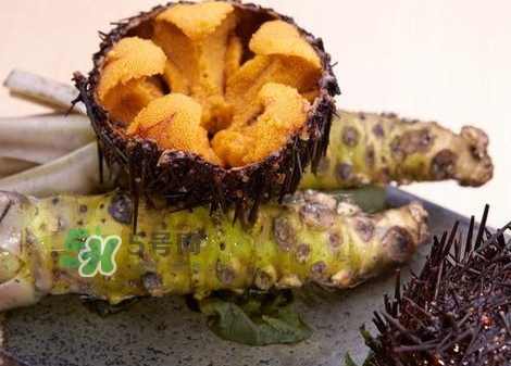 被海膽刺到怎么辦？吃海膽對(duì)身體有什么好處