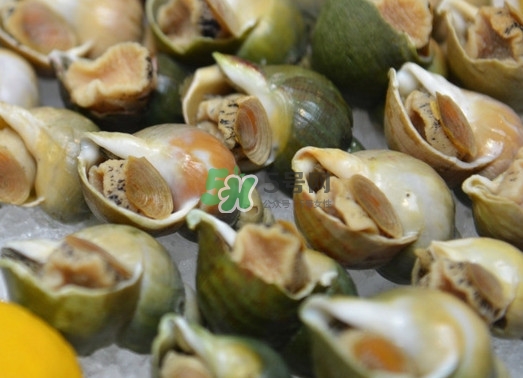 海螺怎么做好吃？海螺怎么清洗干凈