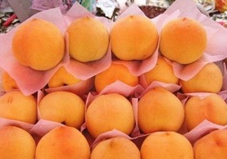 錦繡黃桃什么時(shí)候成熟？錦繡黃桃?guī)自鲁墒欤?><p><strong>錦繡黃桃什么時(shí)候成熟？錦繡黃桃?guī)自鲁墒欤?/strong></p></a></li> <li><a href=