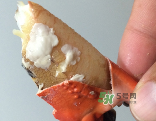 赤甲紅有母蟹嗎？赤甲紅為什么沒(méi)有母蟹？