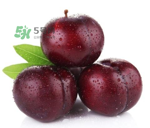 黑布林可以泡酒嗎？黑布林怎么吃？