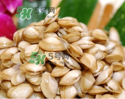 海瓜子怎么養(yǎng)？如何挑選海瓜子