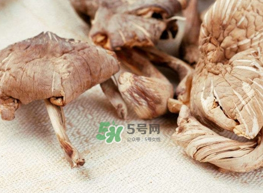 雞樅菌怎么讀？雞樅菌怎么做好吃？