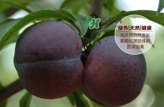 黑布林什么時(shí)候吃最好？黑布林什么人不能吃？