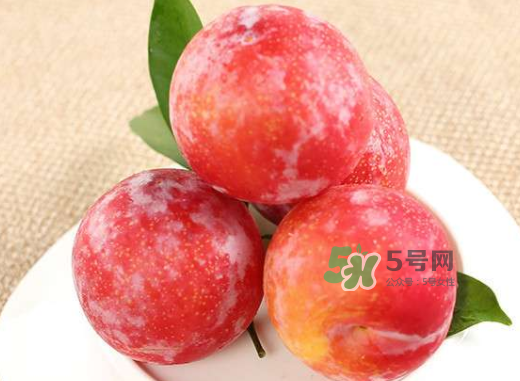 紅布林孕婦可以吃嗎？孕婦可以吃紅布林嗎？
