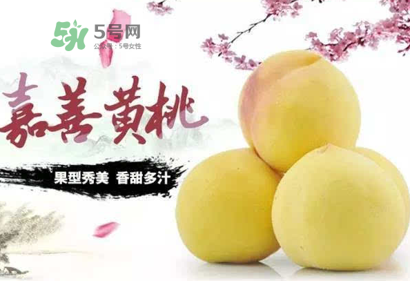 嘉善黃桃多少錢一斤？嘉善黃桃的上市時(shí)間