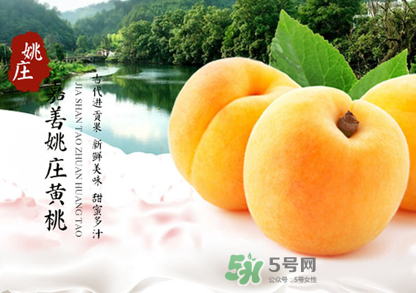 嘉善黃桃多少錢一斤？嘉善黃桃的上市時(shí)間