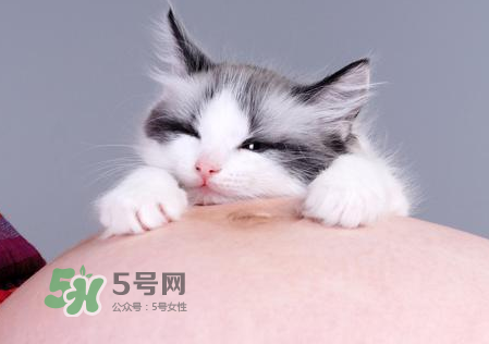 孕婦被貓抓了怎么辦？孕婦被貓抓傷了對寶寶有什么影響？