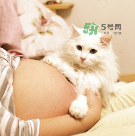 孕婦被貓抓了怎么辦？孕婦被貓抓傷了對寶寶有什么影響？