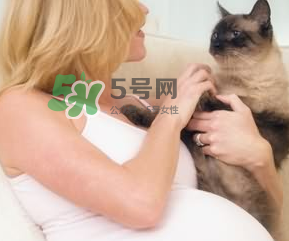 孕婦被貓抓了怎么辦？孕婦被貓抓傷了對寶寶有什么影響？