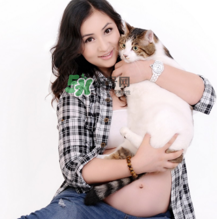 孕婦被貓抓了怎么辦？孕婦被貓抓傷了對寶寶有什么影響？
