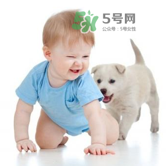 寵物對(duì)嬰兒的影響 寵物對(duì)嬰兒的危害有哪些？