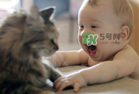 嬰兒被貓抓了怎么辦？嬰兒被貓咪咬了怎么辦？