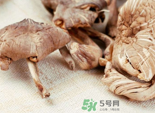 雞樅菌有毒嗎？雞樅菌不能和什么一起吃？