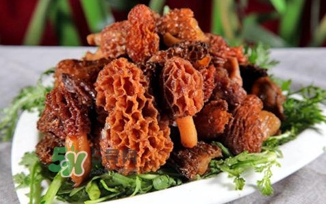 羊肚菌生長在什么地方？羊肚菌同什么煲湯最好