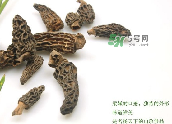 野生羊肚菌多少錢一斤？干羊肚菌多少錢一斤