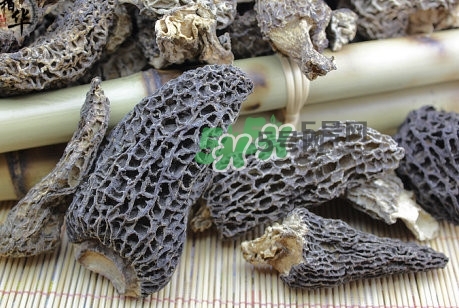 羊肚菌最大產(chǎn)地是哪兒？羊肚菌怎么泡發(fā)