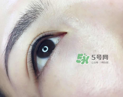 美瞳線有幾種款式？美瞳線有小尾巴嗎？