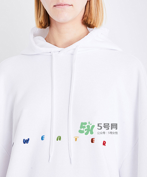 vetements sweater衛(wèi)衣多少錢_在哪買？