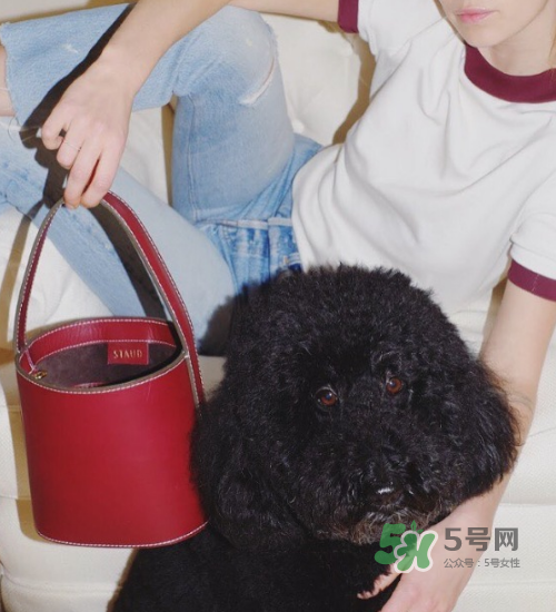 staud水桶包多少錢？staud水桶包專柜價格