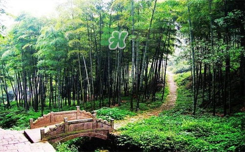 夏天去哪里旅游最好？夏天旅游哪里涼快？