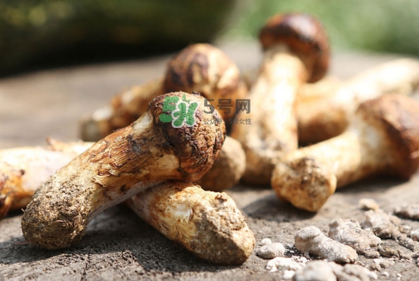 新鮮松茸怎么吃？松茸怎么吃最有營養(yǎng)