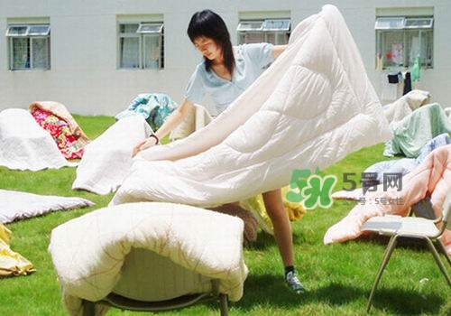 三伏天能曬被子嗎？三伏天曬被子好嗎？