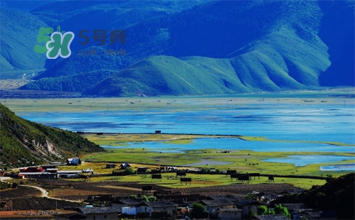 夏天去哪里旅游最好？夏天旅游哪里涼快？