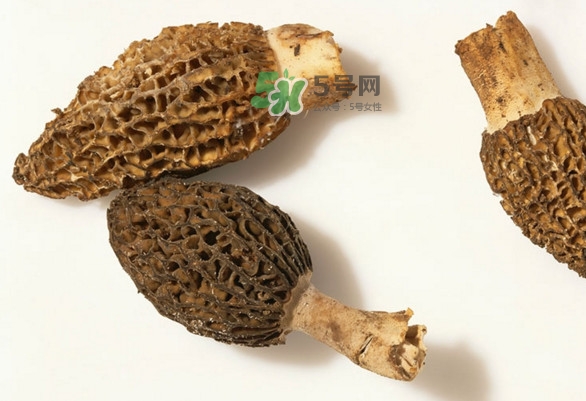 羊肚菌可以泡茶喝嗎？羊肚菌可以生吃嗎