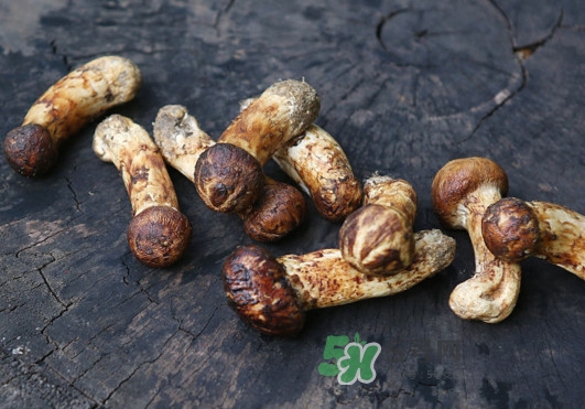 新鮮松茸怎么吃？松茸怎么吃最有營養(yǎng)