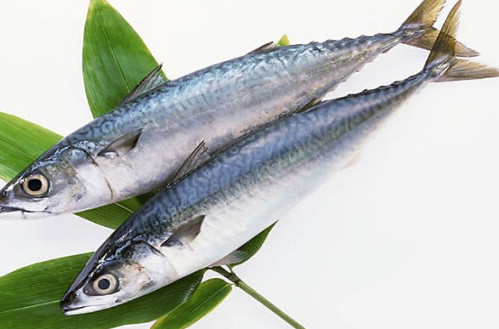 鳡魚吃什么？翹嘴魚和鳡魚有什么區(qū)別