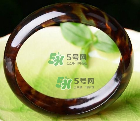 玳瑁是什么？玳瑁是國家保護動物嗎？