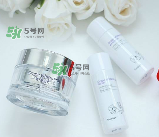 vinistyle是什么檔次？vinistyle怎么樣？