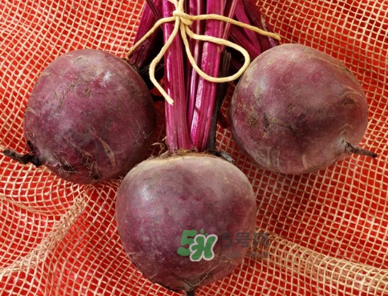 甜菜根是什么菜？甜菜根什么季節(jié)收獲