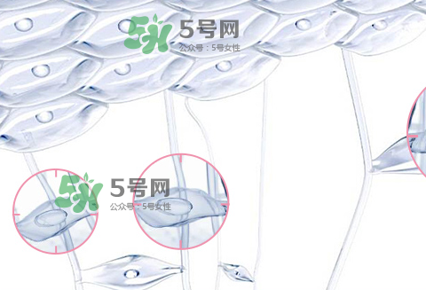 嬌韻詩(shī)青春賦活兩件套裝多少錢(qián)？嬌韻詩(shī)全新青春賦活系列怎么樣？