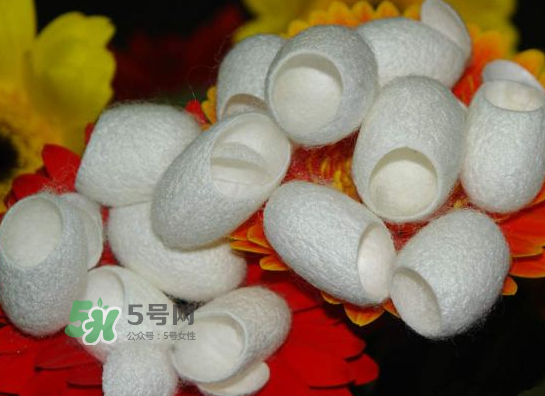 蠶繭多少錢(qián)一斤2017？2017年蠶繭價(jià)格是多少？