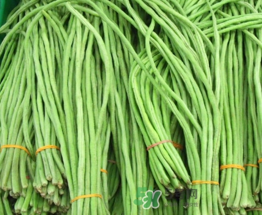缸豆沒熟能吃嗎？酸缸豆怎么腌制的