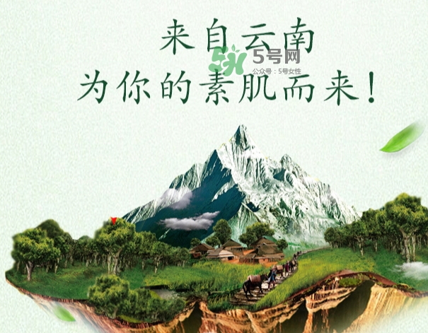 采之汲是什么牌子？采之汲是什么檔次？